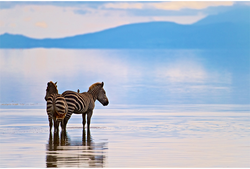 Lake Manyara, Tanzania